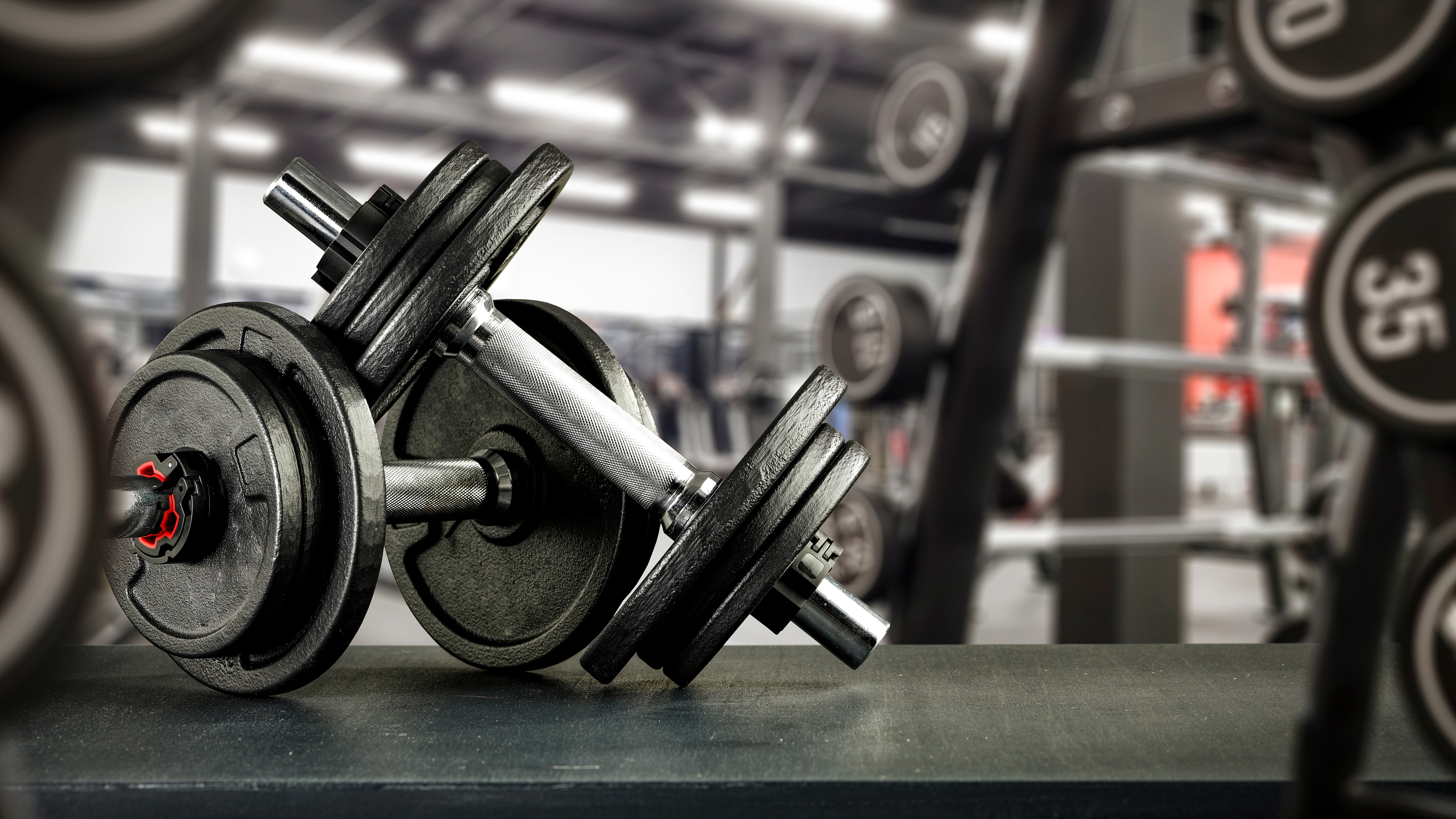 Fitness